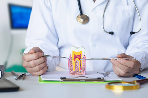 Best Same-Day Emergency Dental Services in Beebe, AR